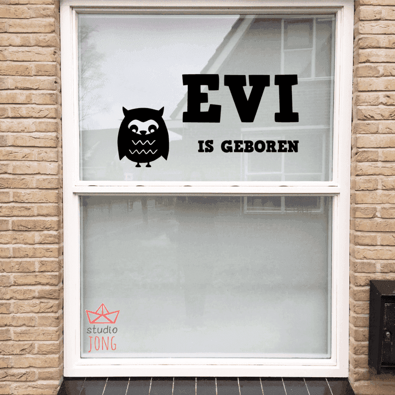 Geboortesticker gepersonaliseerd naam+grote afbeelding