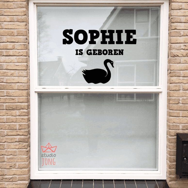 Geboortesticker gepersonaliseerd naam+grote afbeelding