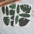 Bladeren muurstickers